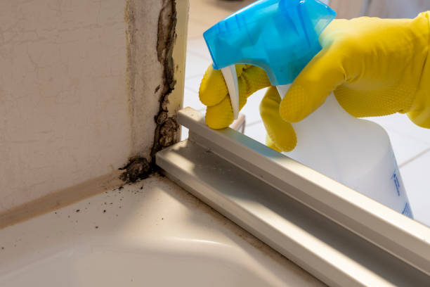 Best Attic Mold Removal  in Mcalmont, AR