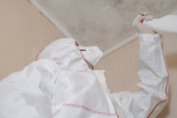 Best Professional Mold Removal  in Mcalmont, AR